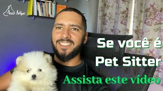 O que você precisa saber para começar trabalhar como pet sitter.