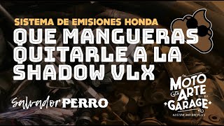 Que mangueras quitarle a la Shadow VLX