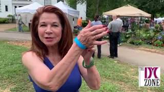 The Cave Spring GA Arts Festival 2019 In The DM Zone