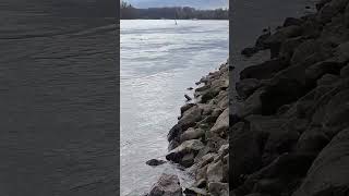 8. Dezember 2024 das Wasser wird wieder mehr.  #rhein #shortsvideo #shortsyoutube #shorts