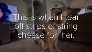 String Cheese