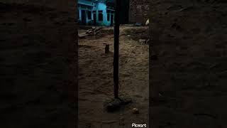 #cricket #trending CRICKET STUMP OUT WITH BALL