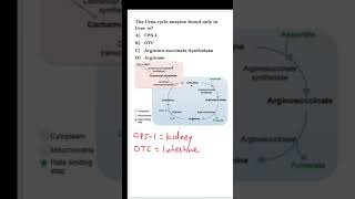 #NEETPG #Biochemistry MCQ | Urea cycle