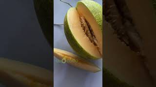 Melon Sunray☺️ #avocadomakassar #buah #makassar #makansehat #melon #makansehat #melon #buahsehat