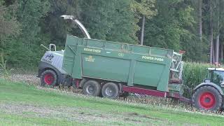 Auf der Jagd nach Mais der Claas Jaguar 980 und Claas Orbis 750  für eine Ganz Große Biogas Anlage i