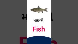 Fish  meaning in Gujarati - English Dictionary