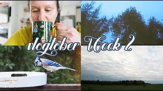 Vlogtober Week 2