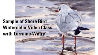 Sample of Shore Bird Watercolor Video Lessons | Watercolor Painting