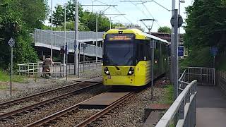 A few Manchester Metrolink trams at St Werburgh's Road (2023.05.11)