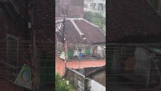 Heavy rains || present situation in Vijayawada || #heavyrain #vijayawada #ytshorts |