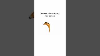 Horses: Then survive, now nomore #horse #survival #animals #environment #nomore #alive #youtuber