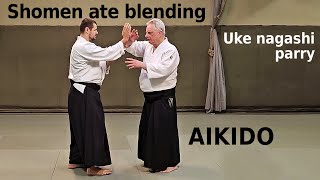 Aikido shomen ate blending: the uke nagashi parry, by Stefan Stenudd