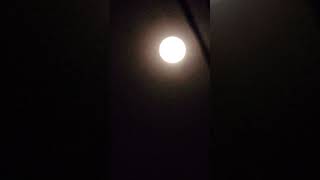 The Moon Midnight #shorts #video #viral #cocomelon #hotel