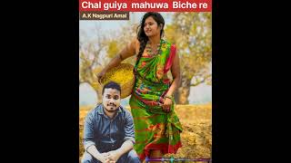 Nagpuri song chal guiya mahuwa  Biche re