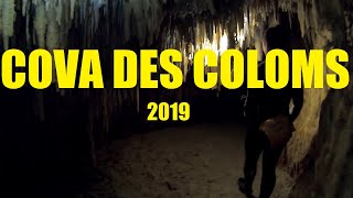 Cova des coloms 2019