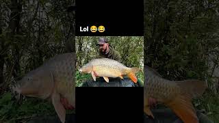 haha 😂 #carpfishing #fishing #funny #funnyvideo #kaprarina #rybaření #carp #catchandrelease