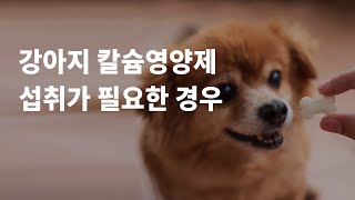 강아지칼슘영양제 꼭 급여해야 할까요?