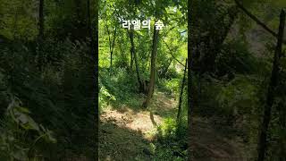 산림정원 라엘의 숲 둘러보기