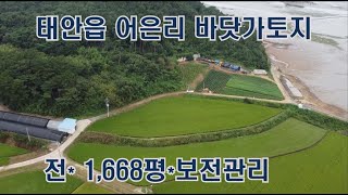 [딸기178] 태안군 어은리 바닷가 토지 1668평 매매 딸기공인중개사 041.662.0880