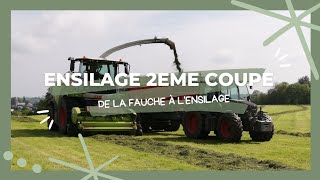 Ensilage 2023 2eme coupe - de la fauche à l'ensilage