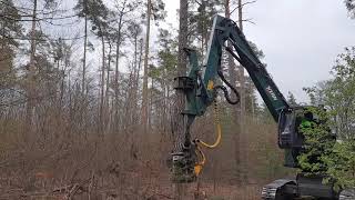 Super-Harvester im Brandenburger Stadtforst