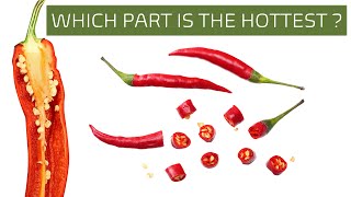 Which is the hottest part of a chili