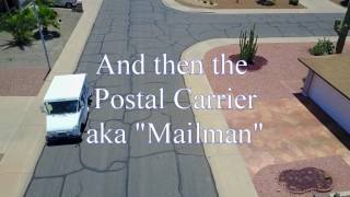 Hozona Channel Presents Waiting for the Mailman