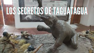 Los secretos de Taguatagua 🐘