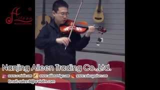 [Aileen Music] AVL-362N Concert Student Violin Supplier