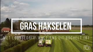 loonbedrijf weltjens uit bochelt (B) gras aan het hakselen