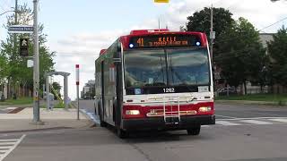 TTC Orion VII NG HEV #1262 (Adwrapped Bus)