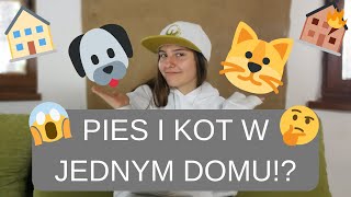 PIES I KOT W JEDNYM DOMU!?