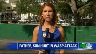 Father and son attacked by wasps