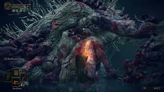 [Elden Ring] Ulcerated Tree Spirit boss fight | 2023