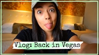 Vlog: BACK IN VEGAS // AllStyledUp24