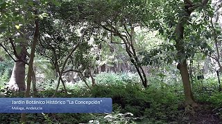 Un paseo por el Jardín Botánico de la Concepción en Málaga