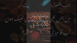 اب تو میری فکر مت کر #youtubeshorts #deepslines #trendingshorts #goldenwords #shorts #youtubevideo