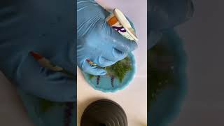 Сухоцветы в resin art /эпоксидная смола/техника в подстаканнике