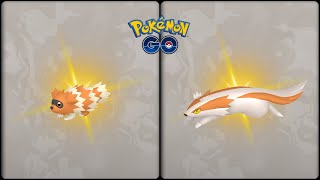 Pokemon Go: Evolving Shiny Zigzagoon into Shiny Linoone