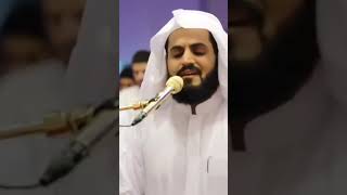 تلاوة آسرة 🤍 ﴿خَلَقَ السَّمَاوَاتِ بِغَيْرِ عَمَدٍ تَرَوْنَهَا ..﴾ || #رعد_الكردي