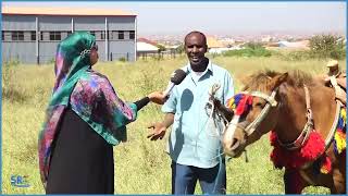 Maxaad ka ogtahay fardaha lagu dhaqo magaalada Jigjiga?