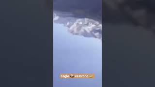 #Eagle destroys drone in the #dolomites #aquila distrugge il drone sulle #dolomiti