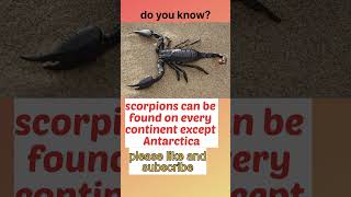 fact 87, scorpion are not in antartica