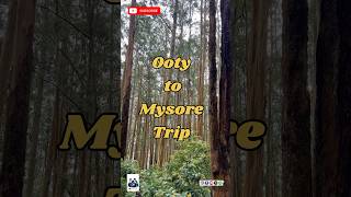 Ooty to Mysore Trip#ooty #mysore #karnataka #thamilnadu #schooltrip #viralvideo #shortsfeed #song