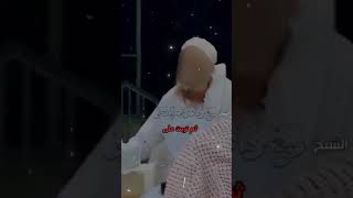 الشيخ ربيع المدخلي