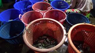 Local Market In Cambodia