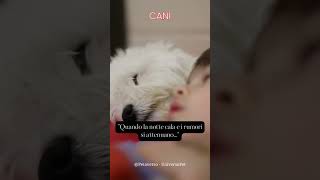 Serenità Notturna: Un Cane che Veglia sui Nostri Riposi #cani #sonno #sogni #animali