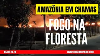 FOGO NA FLORESTA!