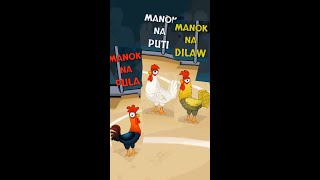 manok na pula vs dilaw and puti