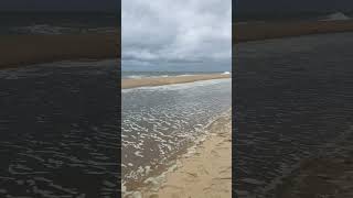 The beach at my hotel was very windy this morning #beach #shorts